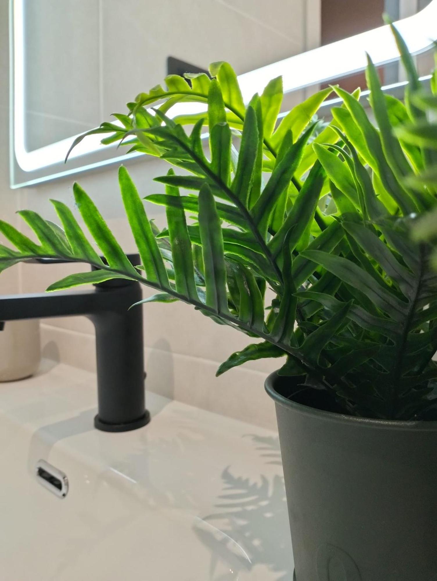 Apartamento Verdemare 科拉雷侯 外观 照片